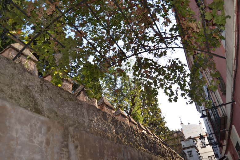 Callejón del Agua