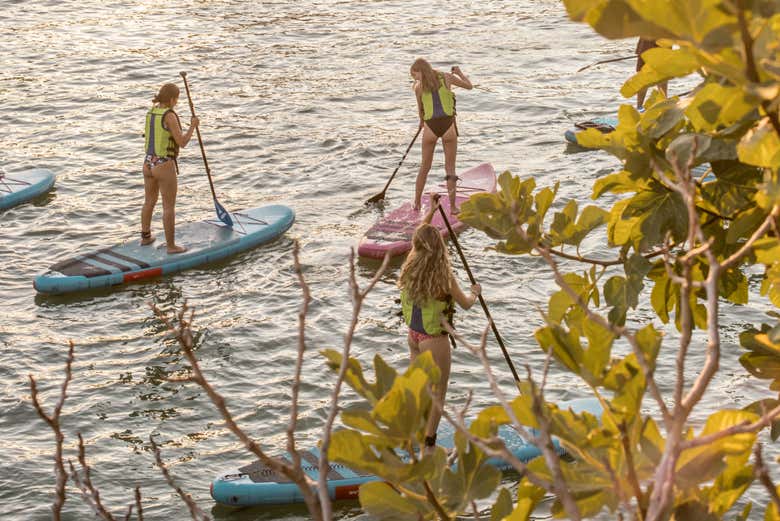 Disfrutando del alquiler del equipo de paddle surf