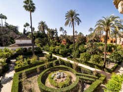 Real Alcazar Gardens