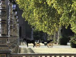 Horse and Cart in María Luisa Park