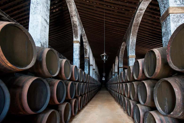 Bodega en Jerez de la Frontera