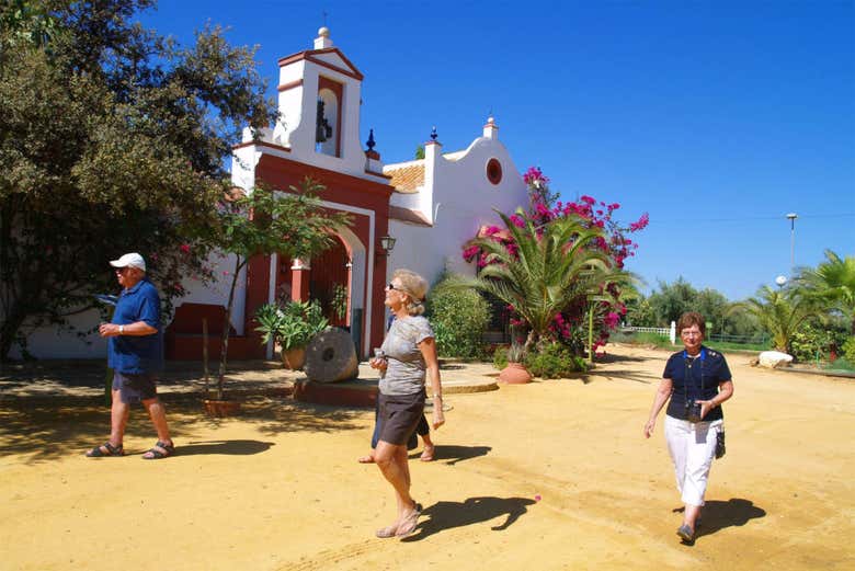 Visiting the Basilippo olive oil mill