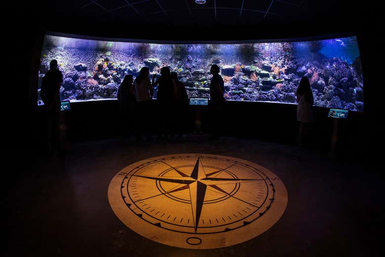 Admirez les coraux de l'aquarium de Séville