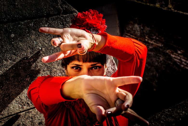 La profesora de flamenco 