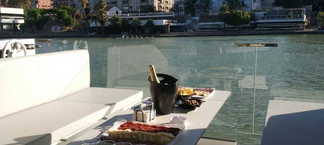  Paseo en barco ecológico por el río Guadalquivir