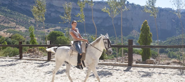 Paseo a caballo por Doñana y el Aljarafe