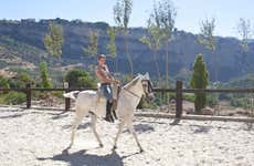 Paseo a caballo por Doñana y el Aljarafe