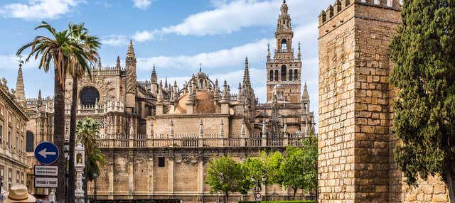 Tour por la catedral y la iglesia del Salvador