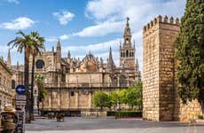 Tour por la catedral y la iglesia del Salvador