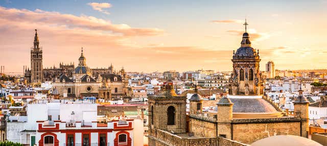Tour privado por Sevilla ¡Tú eliges!