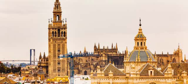 Tour pelo Alcácer, Catedral e La Giralda