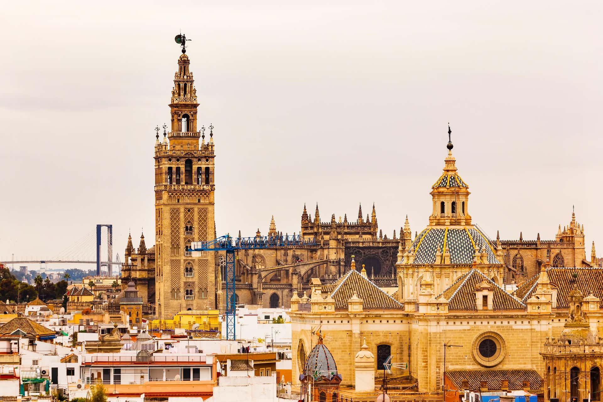Tour pelo Alcácer, Catedral e La Giralda