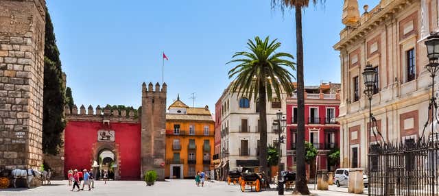 Free tour del Siglo de Oro por Sevilla