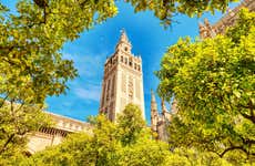 Visita guiada por la Catedral y la Giralda en grupo reducido