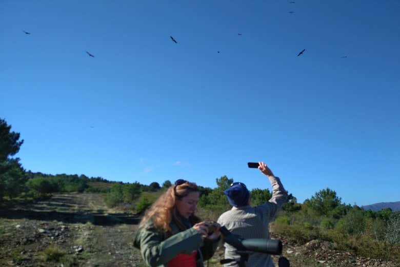 Avistamiento de aves en la Sierra de Gata