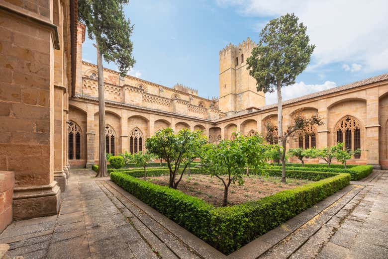 Walk through the garden of the cathedral