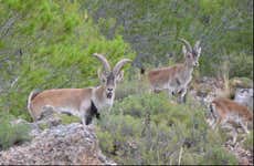 Tour en 4x4 por las Sierras de Cazorla, Segura y Las Villas
