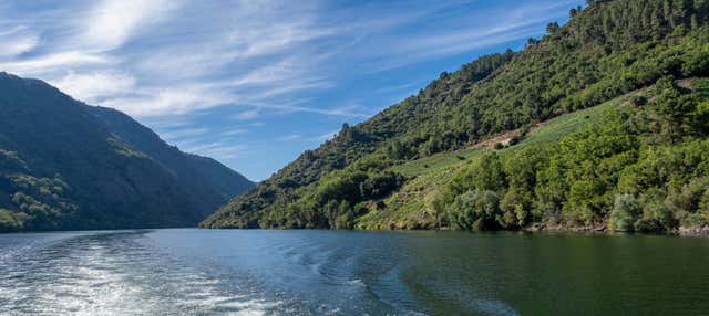 Paseo en catamarán por los cañones del Sil