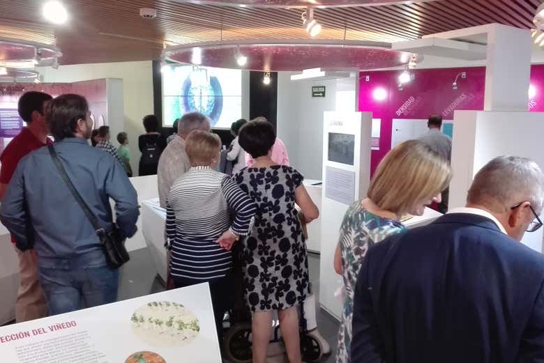 Recorriendo las salas del museo