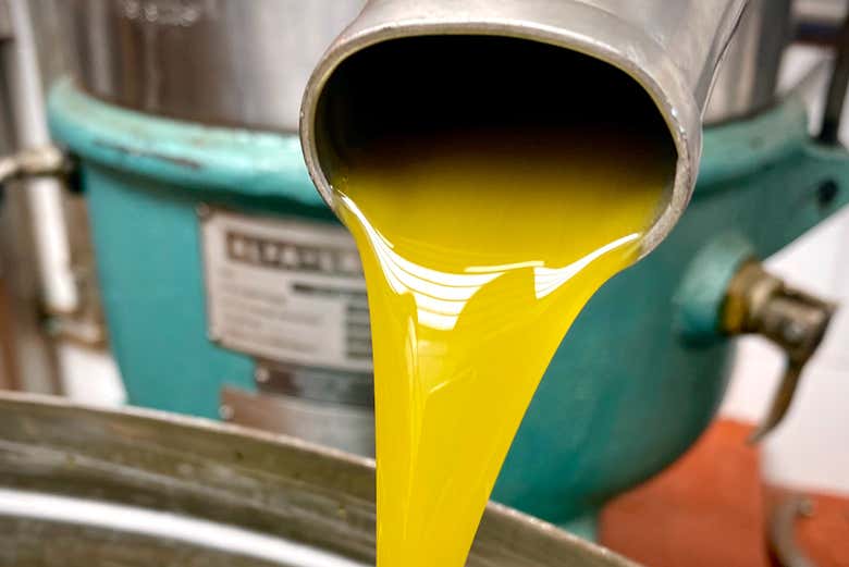 Conociendo la almazara