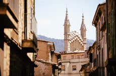 Tour privado por Sóller