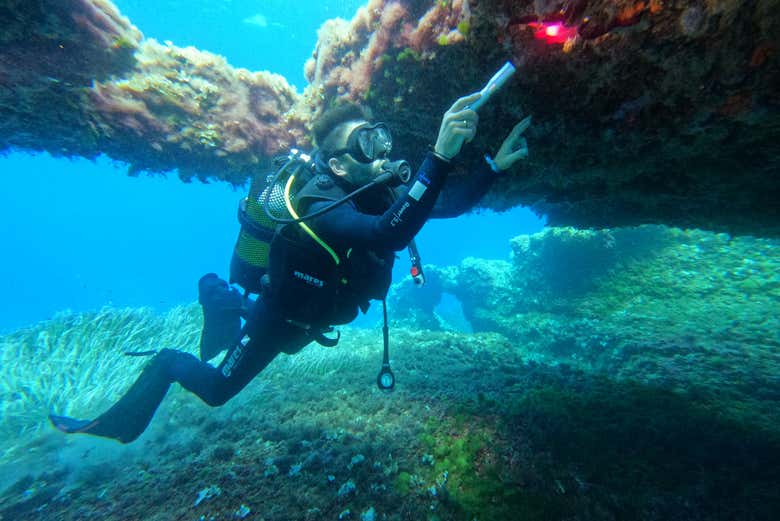 Plongée sous-marine à Son Xoriguer
