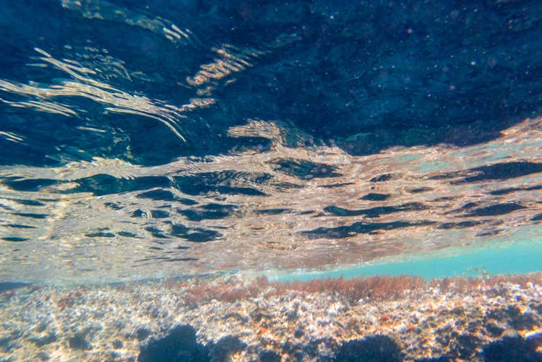 Admirez les fonds marins de Minorque