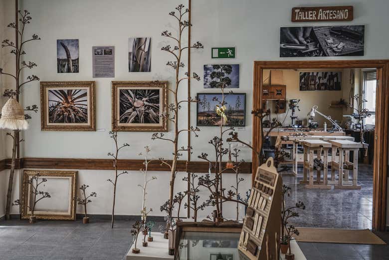 You'll love this tour!