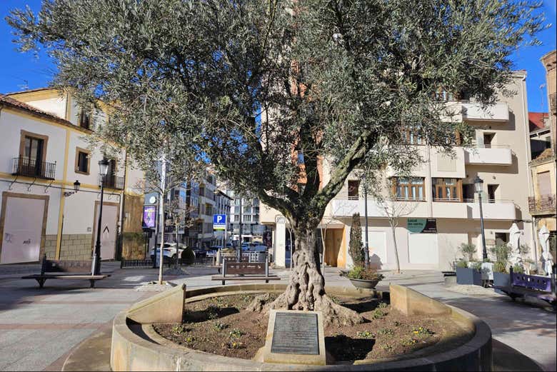 Place del Olivo