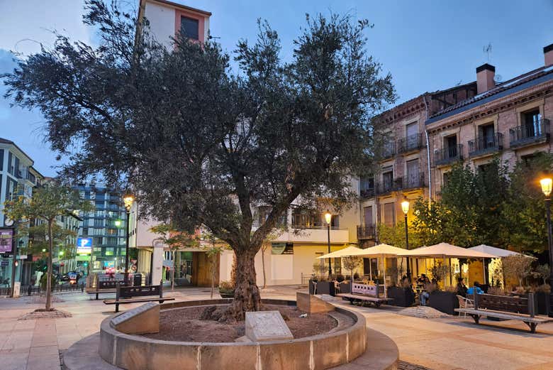 Comenzaremos el recorrido desde la plaza del Olivo