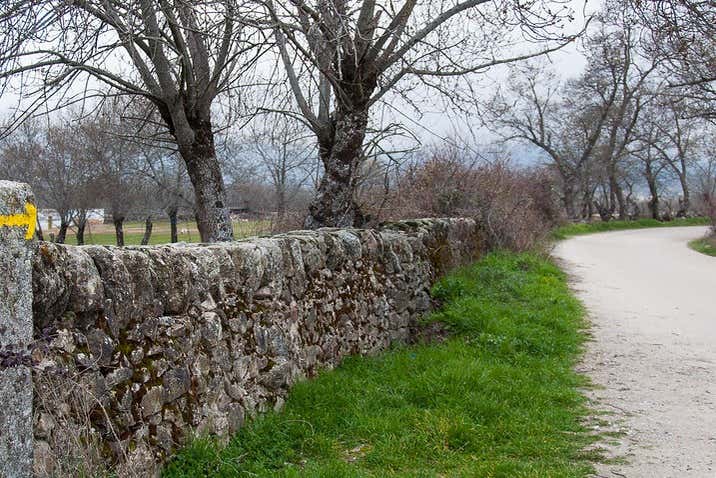 Vía pecuaria de Soto del Real