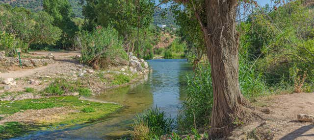 Tour en paddle surf por el río Guadiaro