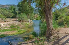 Tour en paddle surf por el río Guadiaro