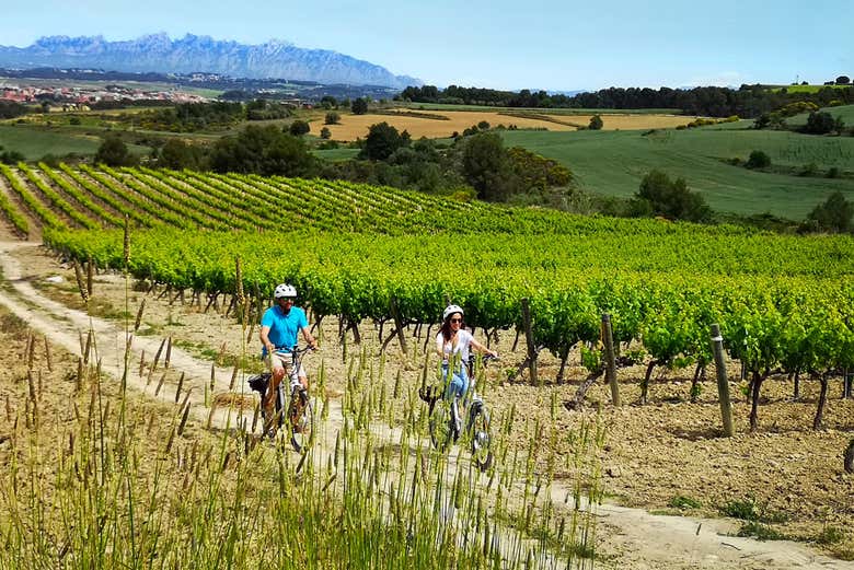 De bicicleta elétrica pelos vinhedos do Penedès