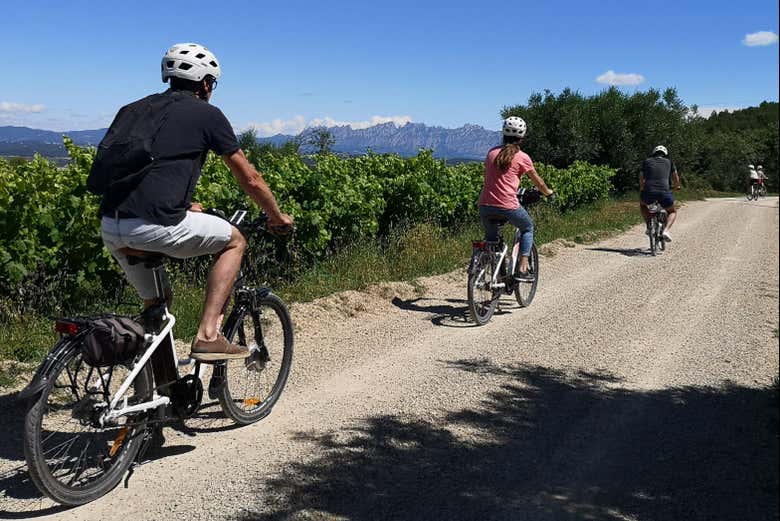 Percorrendo o Penedès de bicicleta