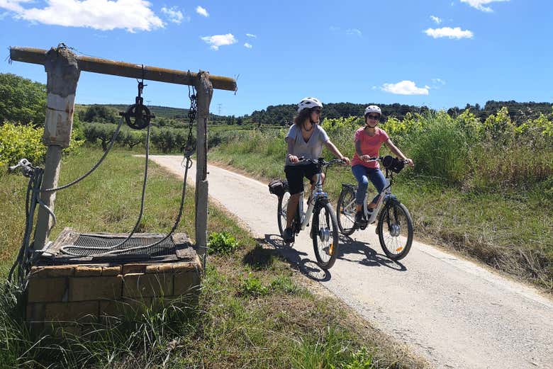 Pedalando perto dos vinhedos