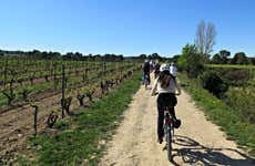Tour en bicicleta por los viñedos del Penedés