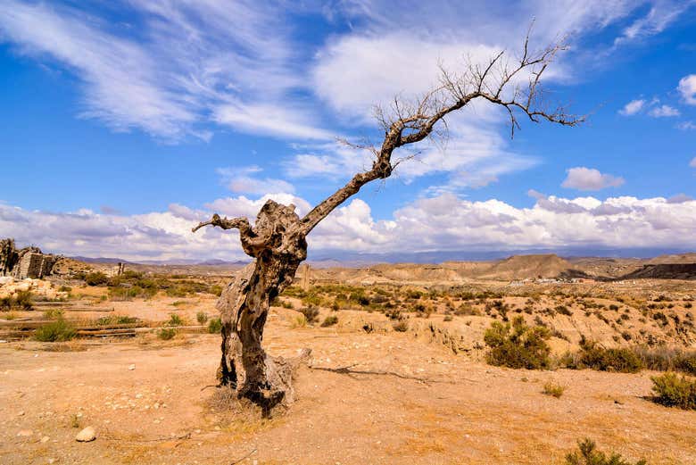 Panoramic view of Tabernas Desert