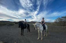 Paseo a caballo por el desierto de Tabernas