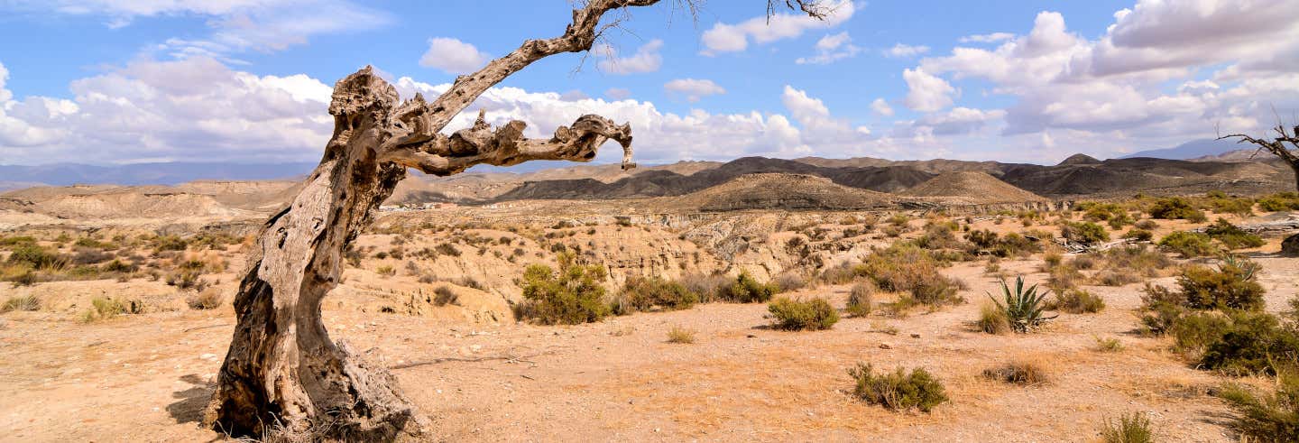 Tabernas