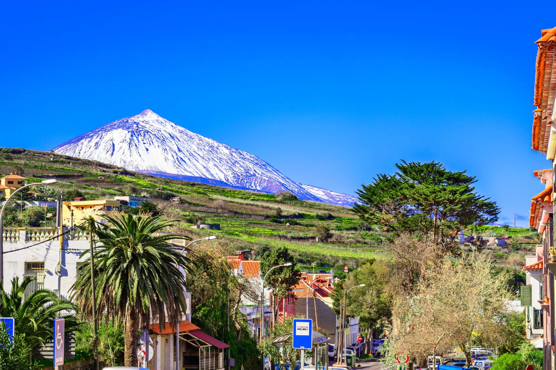 Free tour di Tacoronte