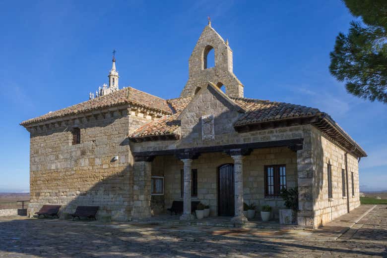 Támara de Campos