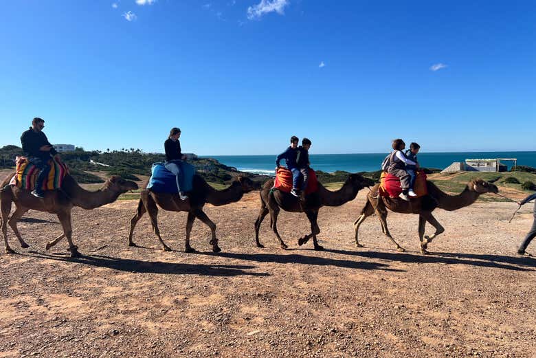 Hop on for a camel ride!