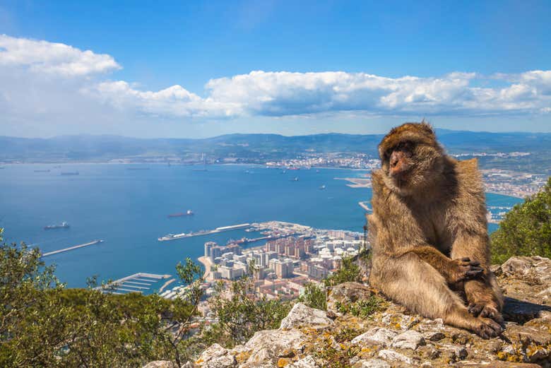 Vistas de Gibraltar