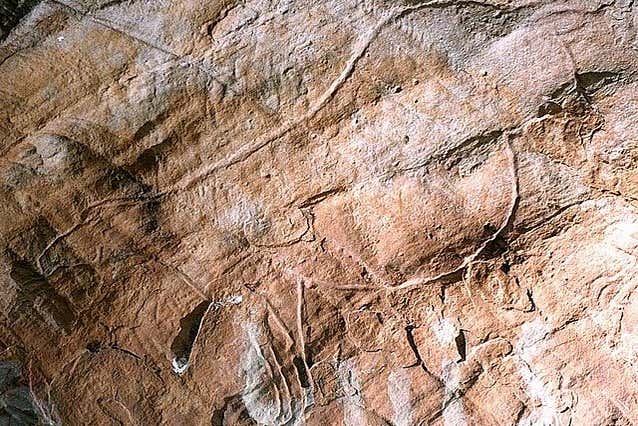 Pinturas rupestres