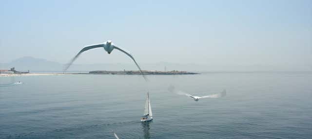 Isla de las Palomas Boat Trip