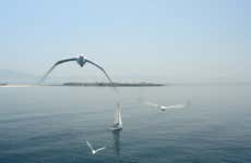Paseo en barco a la isla de las Palomas