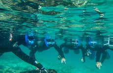 Snorkeling dans le parc naturel du Détroit