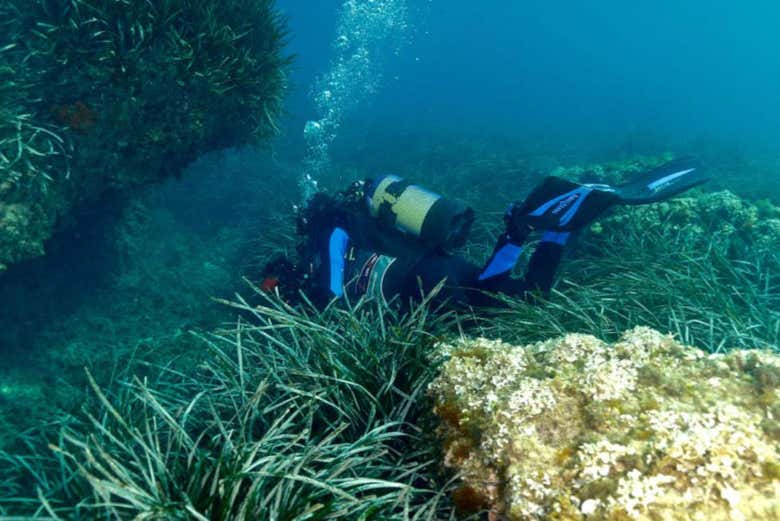 Diving in the waters of Tarragona