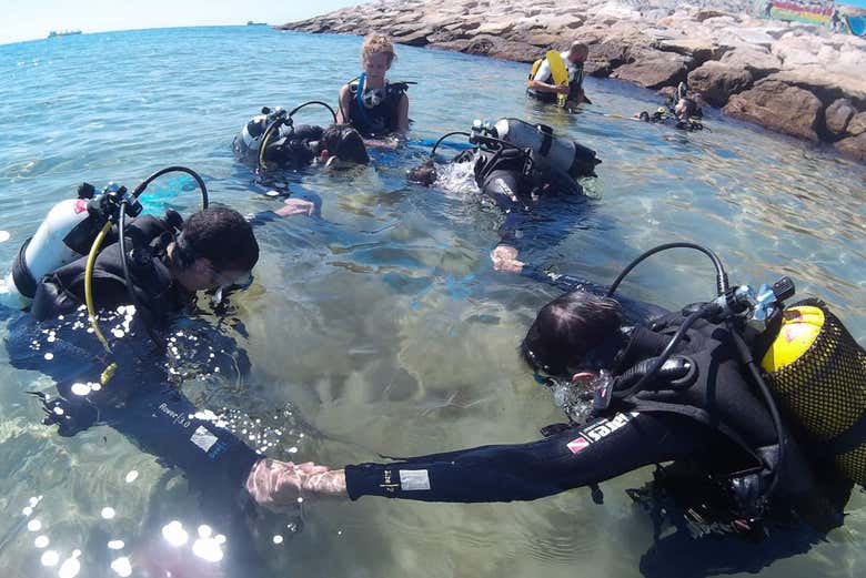 Buceando en la costa de Tarragona